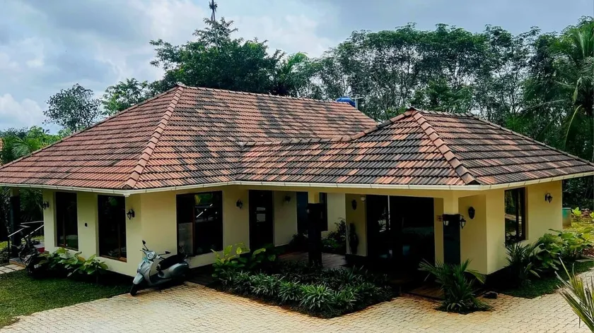 The Village Vista - Reception