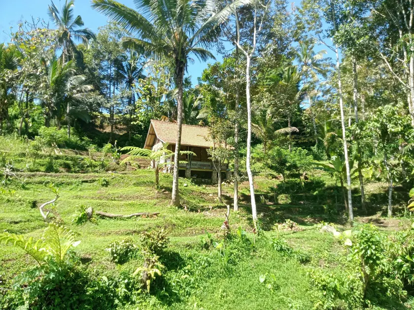 duegoal farmhouse - Image 1