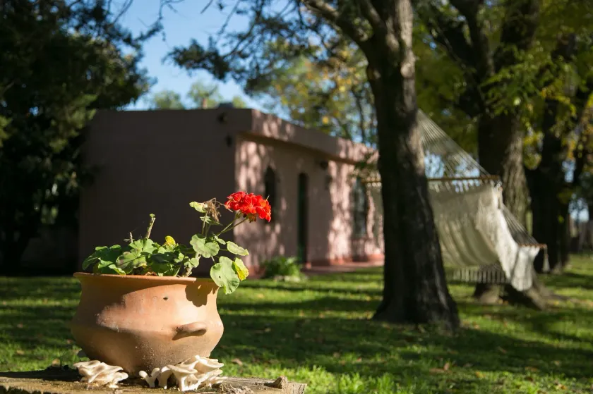 Posada Don Salvador - Image 1