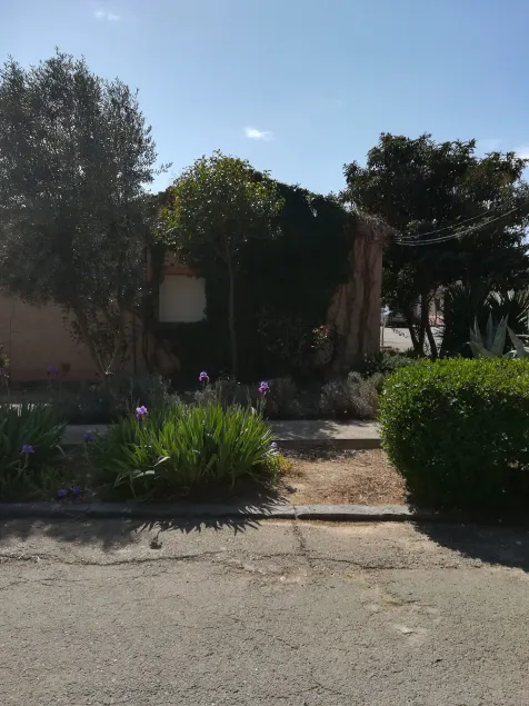 Casa Rural Los Pinos - Image 1