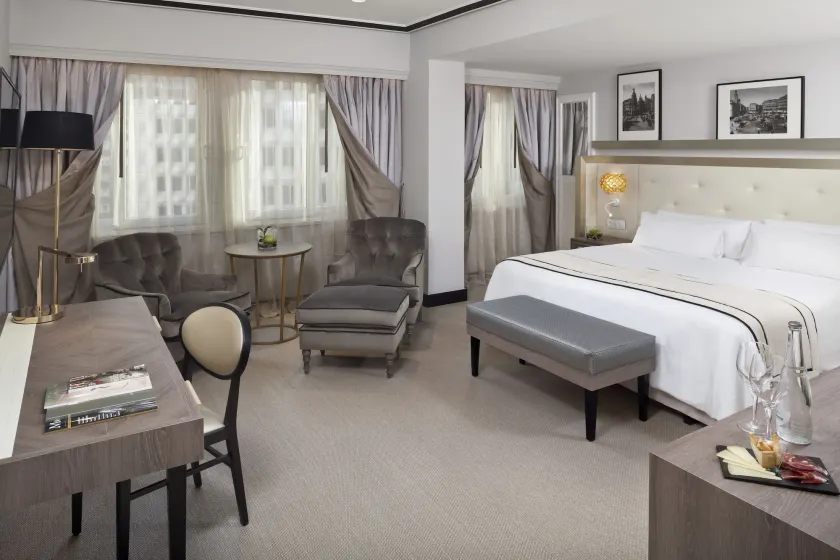 Meliá Castilla - Image 1