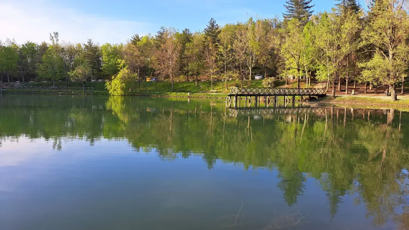 Albergo Lago Verde - Image 1