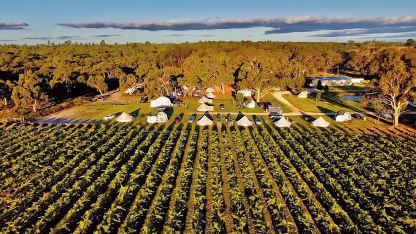 Coonawarra Bush Holiday Park - Image 1