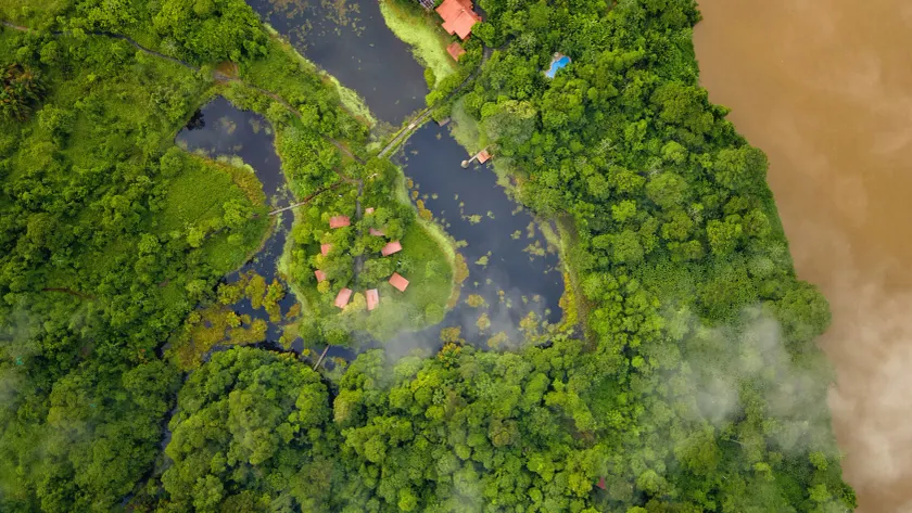 Maquenque Lodge - Image 1