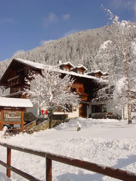 Hotel Biancaneve - Image 1