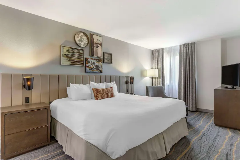 Windmill Suites Surprise - Phoenix, an Ascend Collection Hotel - Image 1