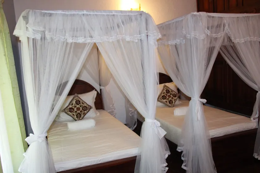 Xotic Resort - Image 1