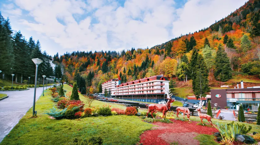 Sairme Resort - Image 1