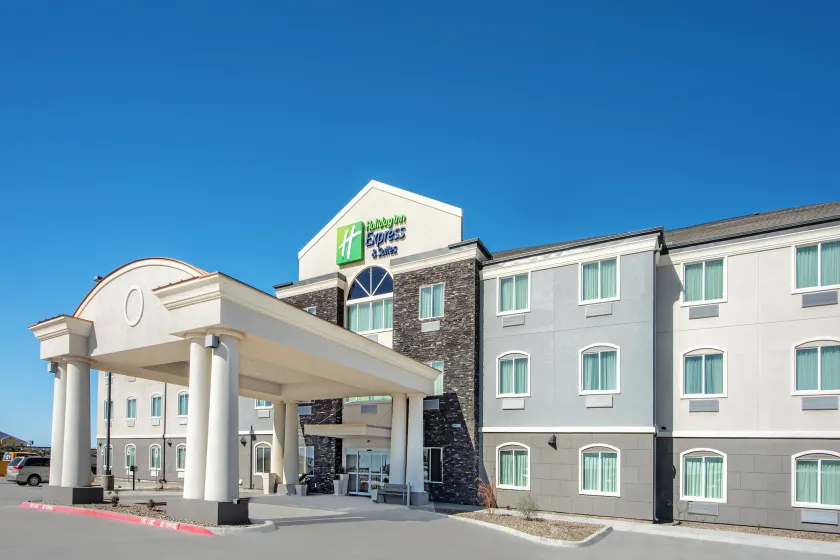 Holiday Inn Express Hotel and Suites Monahans I-20 by IHG - Image 1