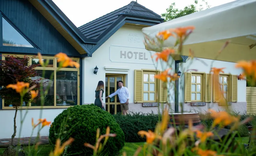 Hotel Vineyard Inn - Szőlőskert - Image 1