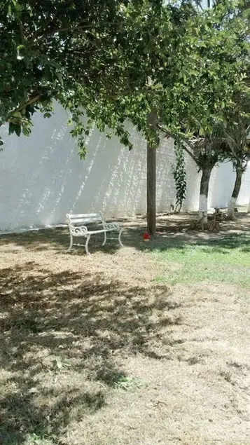 Chácara dois irmãos - Image 1