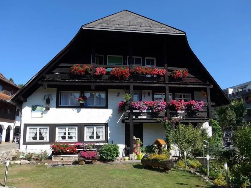 Schwarzwaldhaus Angelhof - Image 1