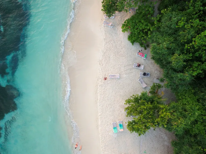 Quicksand Rasdhoo - Image 1