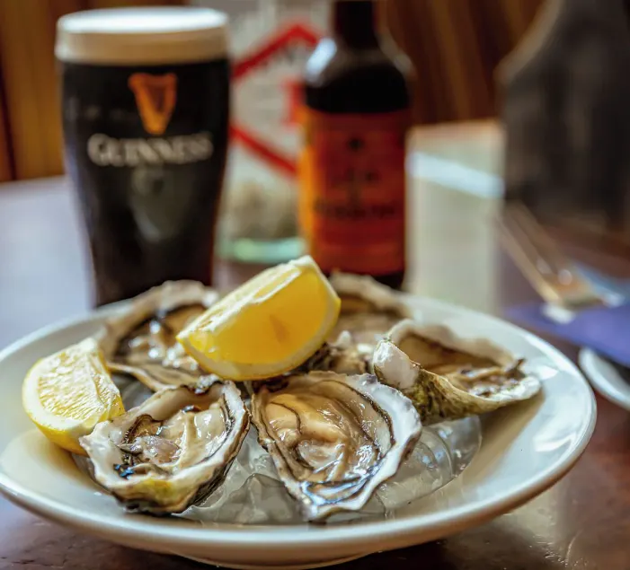 Foley's Guesthouse & Self Catering Holiday Homes - Reception