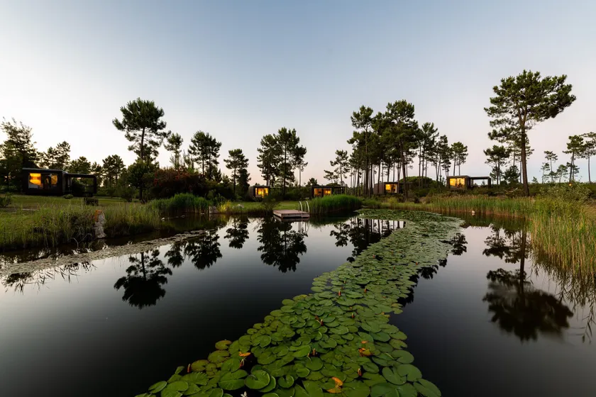 Cocoon Eco Design Lodges - Image 1