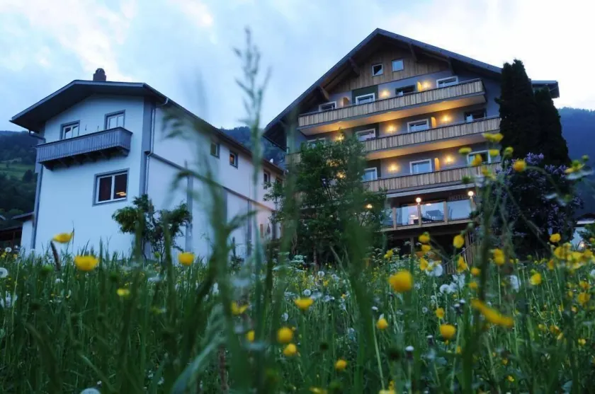 Hotel Tauernstern - Image 1
