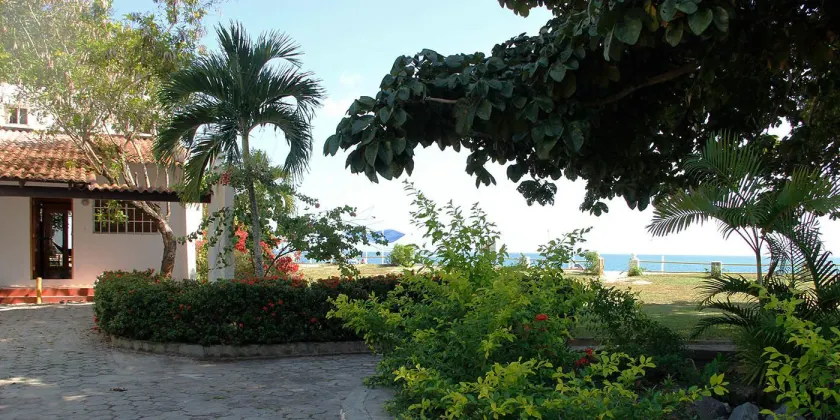 Las Sirenas de Santa Clara - Image 1