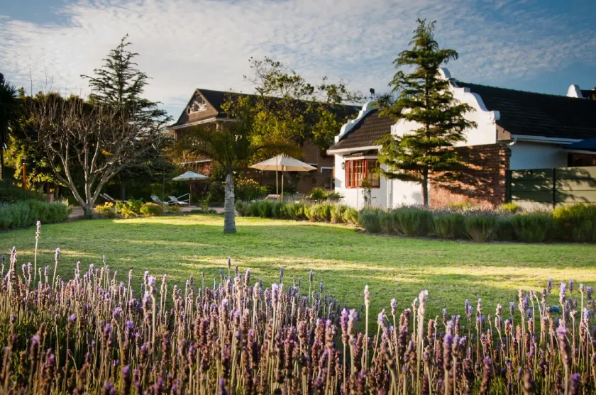 At Winkfield House - Image 1