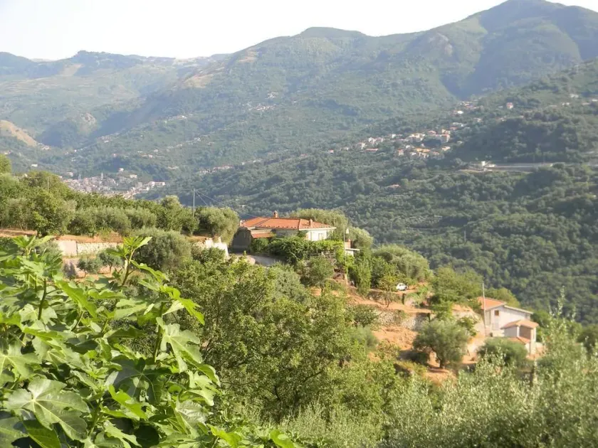 Agriturismo Don Cesarino - Image 1