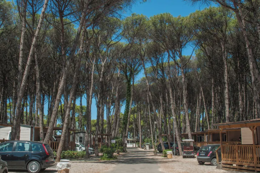 Camping Village Mare Pineta - Image 1