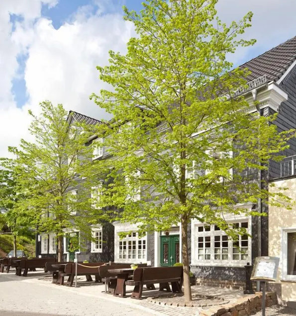 Zu den Drei Linden - Hotel & Restaurant - Image 1