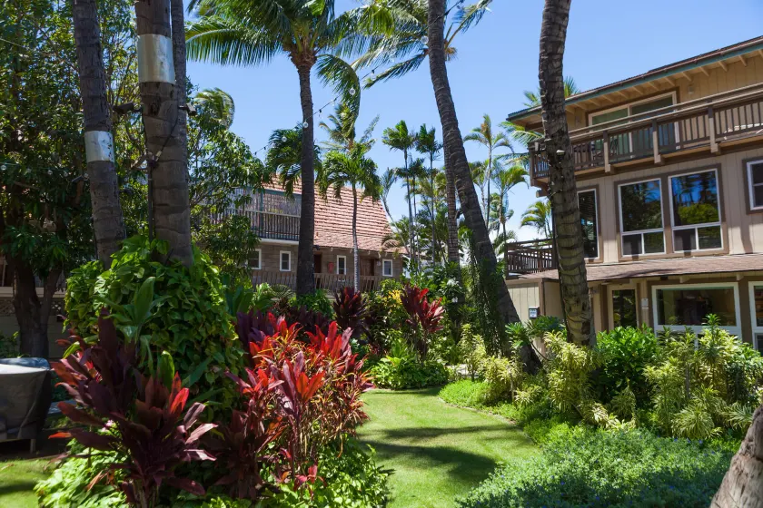 Kohea Kai Hotel Maui - Image 1