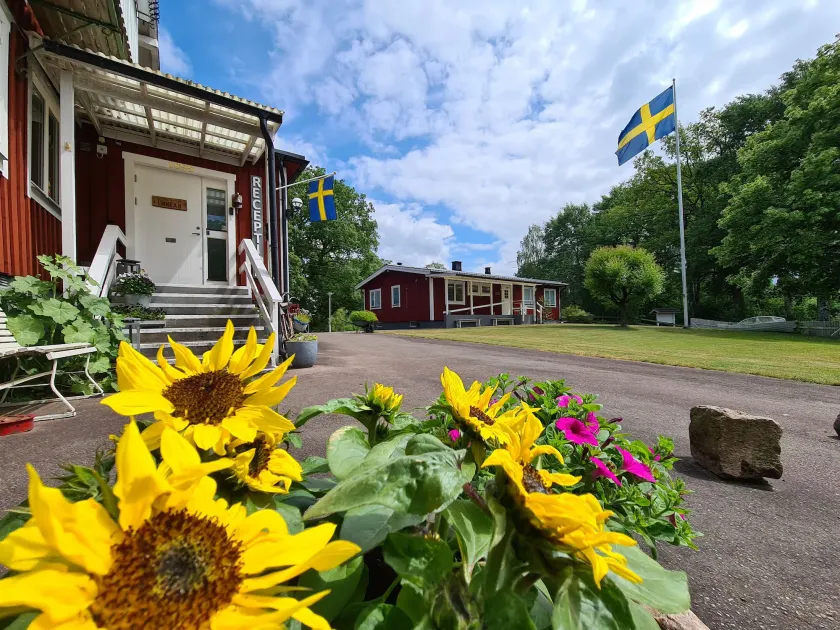 Den Sovande Älgen - Image 1