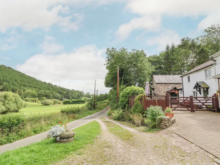 The Little White Cottage - Image 1
