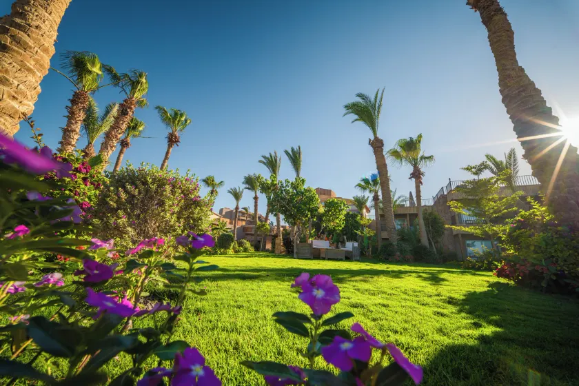  ananea Hurghada – Adults Only - Image 1