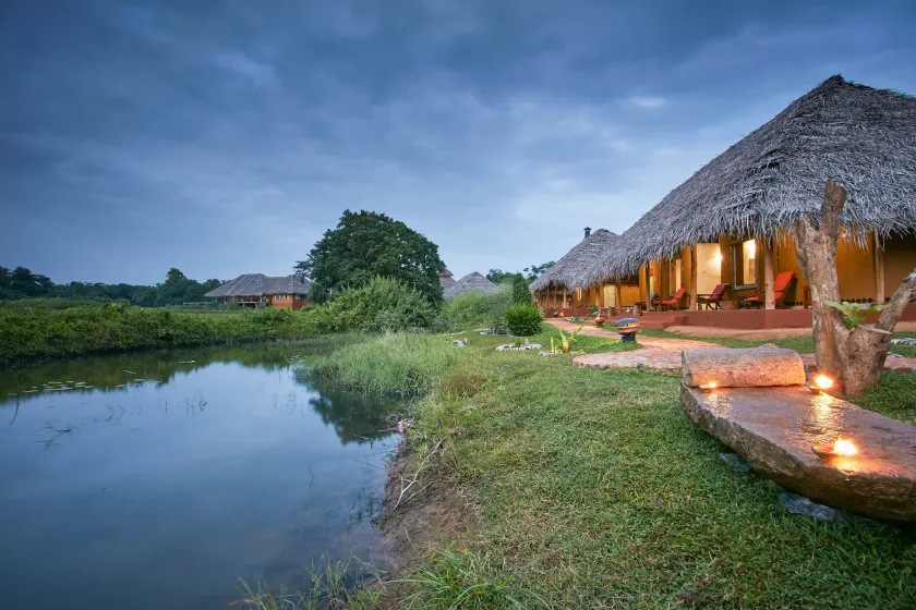 Amuna Ayurveda and Wellness Retreat - Image 1