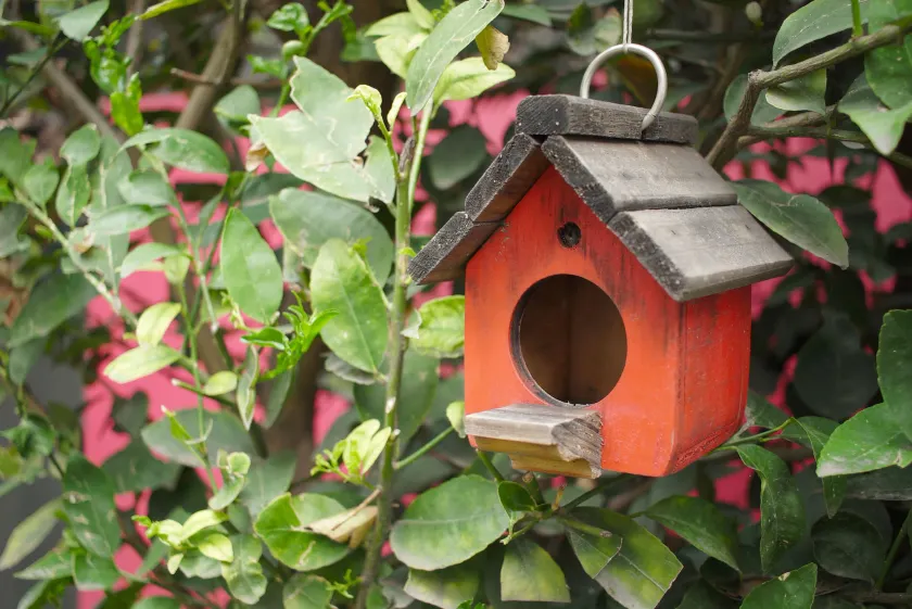 Colibrí B&B - Image 1
