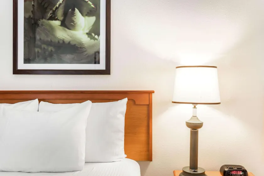 Baymont by Wyndham Orlando South - Chambre