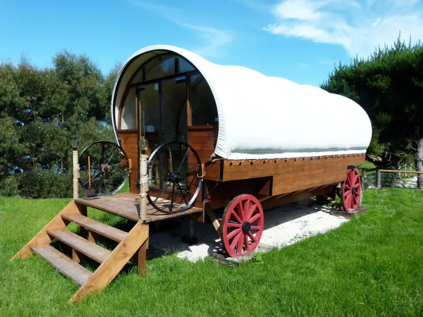 Wacky Stays - unique farm-stay glamping rentals, FREE animal feeding tours - Image 1