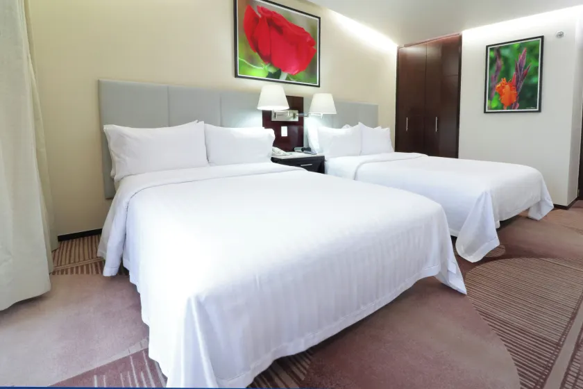 Holiday Inn Hotel & Suites Mexico Medica Sur by IHG - Image 1