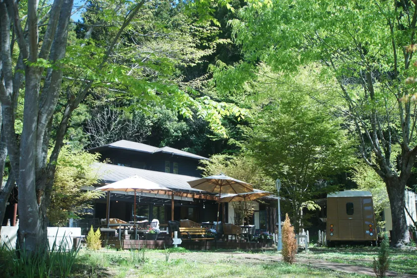 Saku Cafe - Image 1
