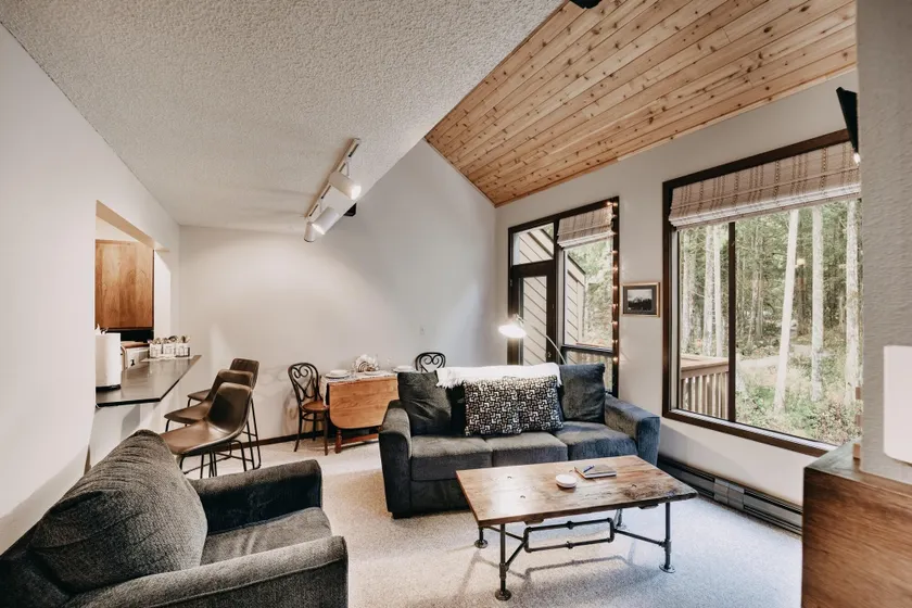 Condo - Pets OK - Fireplace, Sleeps 4! - Image 1