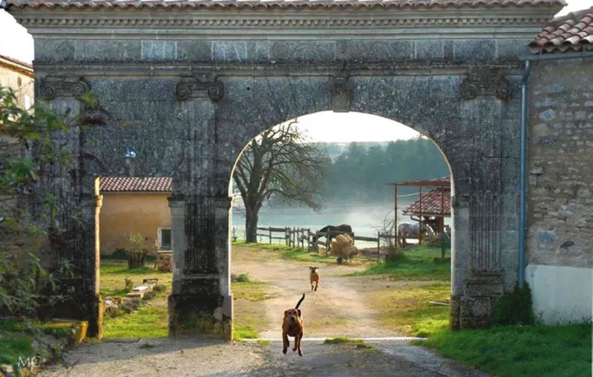 Domaine De Chantemerle B'nB - Image 1