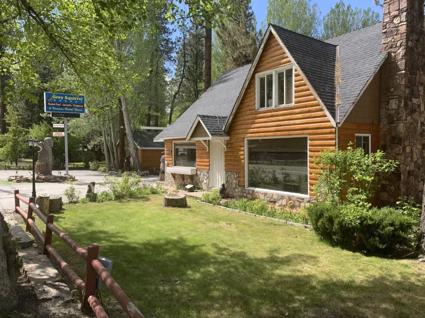 Grey Squirrel Resort - Image 1