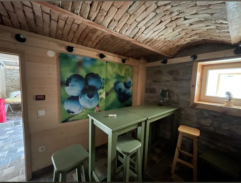 Apartments Storzek - Reception