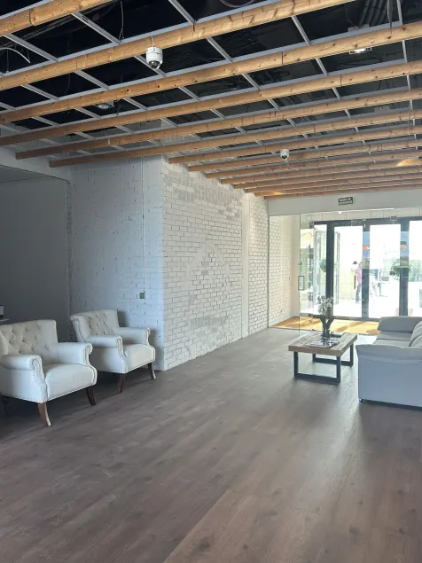 Aravaca Palm - Lobby