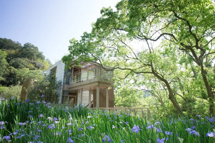 ChooArt Villa - Image 1