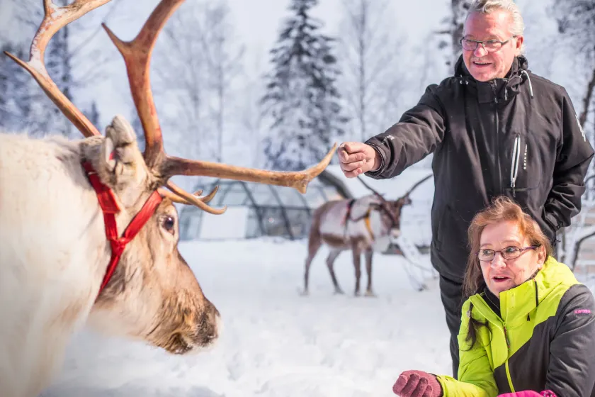 Lapland Northern Lights Hotel Ilveslinna - Image 1