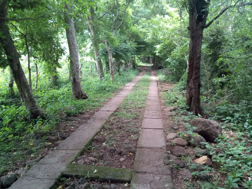 El Porvenir Eco-Lodge - Image 1