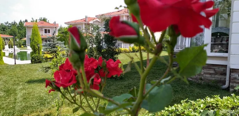 PALACE KIRKPINAR - Image 1