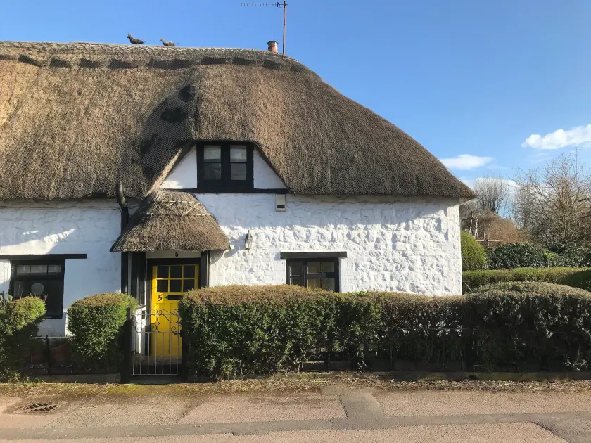 5 Packhorse - Image 1