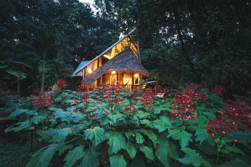 Tree House Beachfront Lodge - Image 1