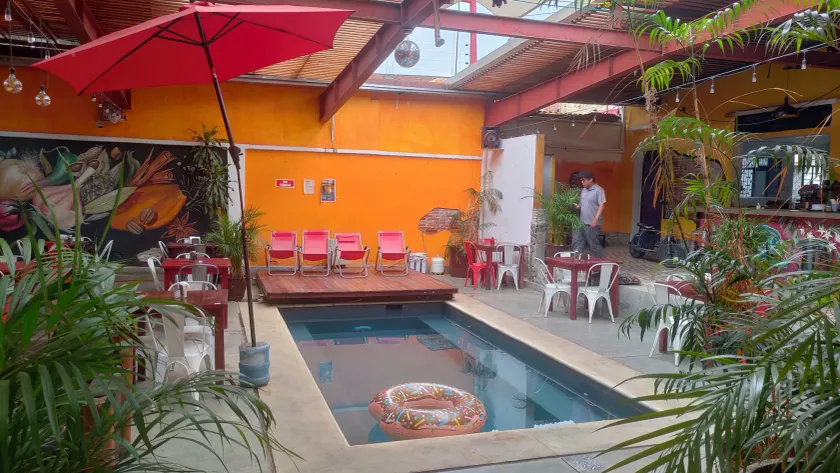Iguana Coliving - Image 1