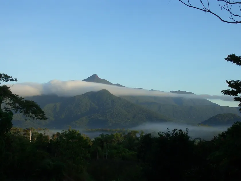 Epiphyte B & B - Image 1