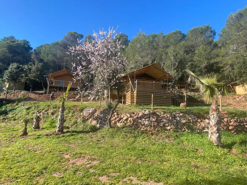 Glamping VALL de CODÓ - Image 1