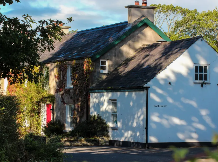 Ballylagan Organic Farm - Image 1